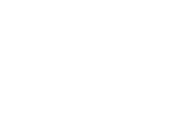 Chaosforschung, Simone Krissmer